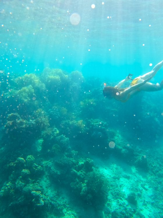 14x to do Labuan Bajo