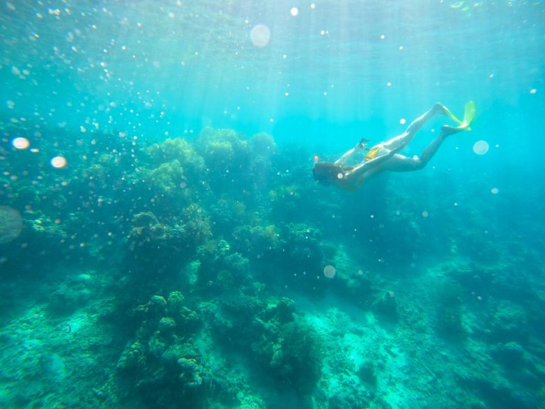 14x to do Labuan Bajo