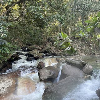 Hike naar Preikestolen