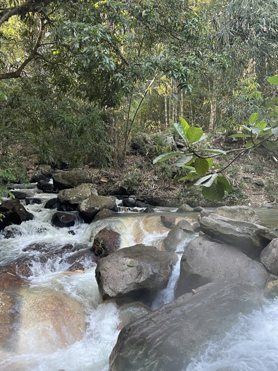 Drie dagen in Bajawa 