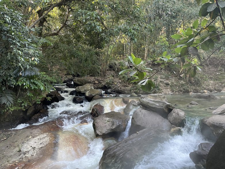 Drie dagen in Bajawa 