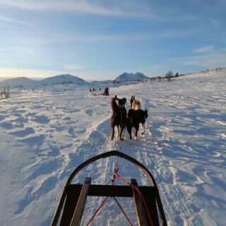 Roadtrip door Noorwegen 