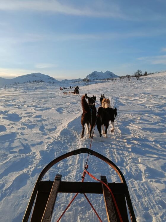 5-daagse wintervakantie naar Tromsø 