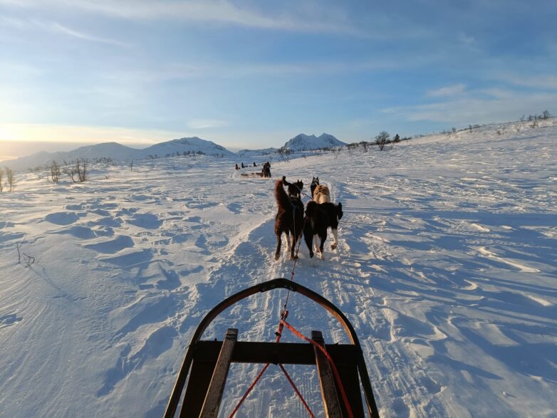 5-daagse wintervakantie naar Tromsø 