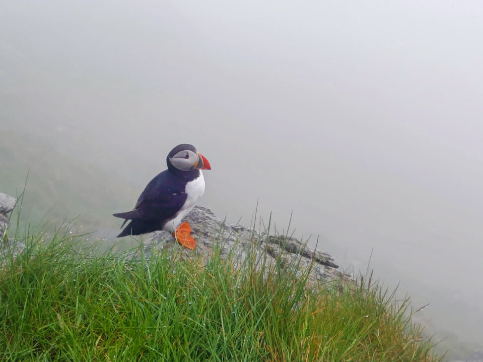 Roadtrip door Noorwegen